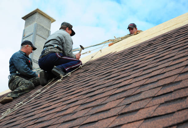Best Roof Restoration Services  in Barnesville, GA